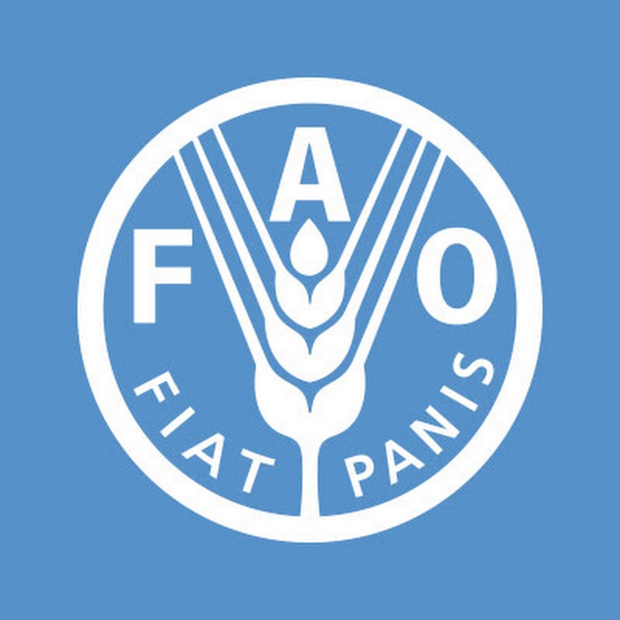 Food and Agriculture Organization (FAO) logo